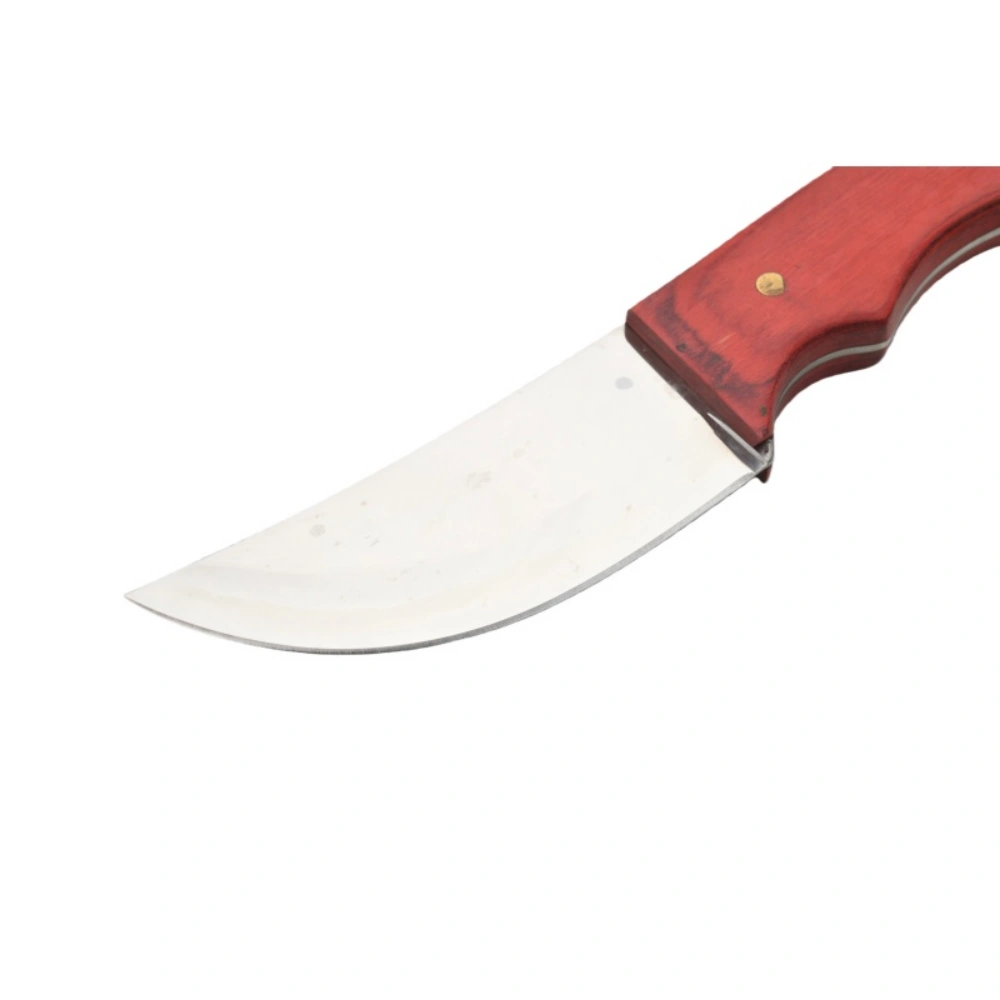 Household stainless steel knife set, fruit and bread cutter, chef's meat cutter, bread peeler - 图片 3